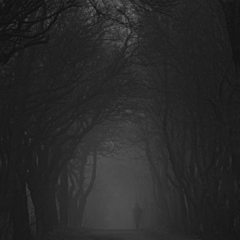 выдержка,туман Be lostphoto preview