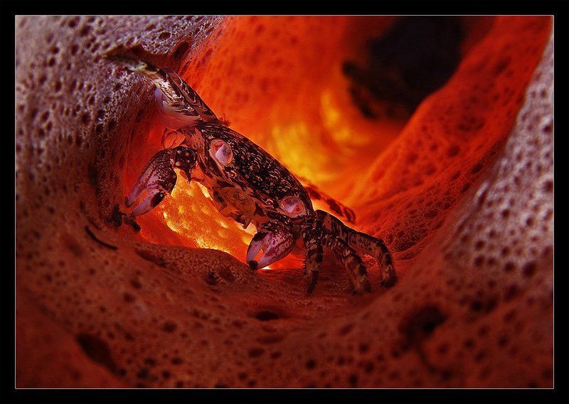 Кошмарикphoto preview