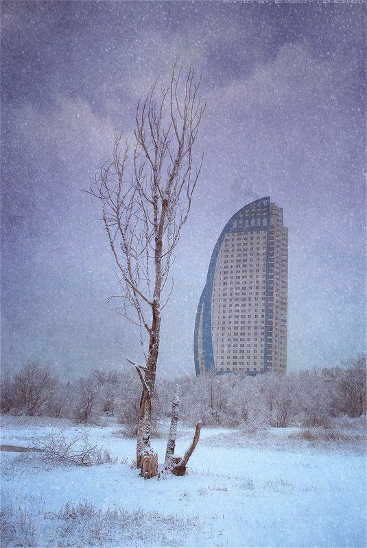 Город контрастовphoto preview