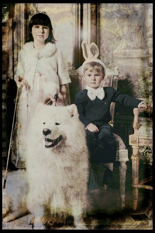 рождестваphoto preview