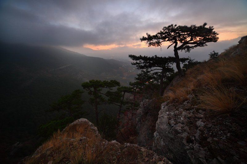 ёлки, крым, горы, ялта Не доброе утроphoto preview