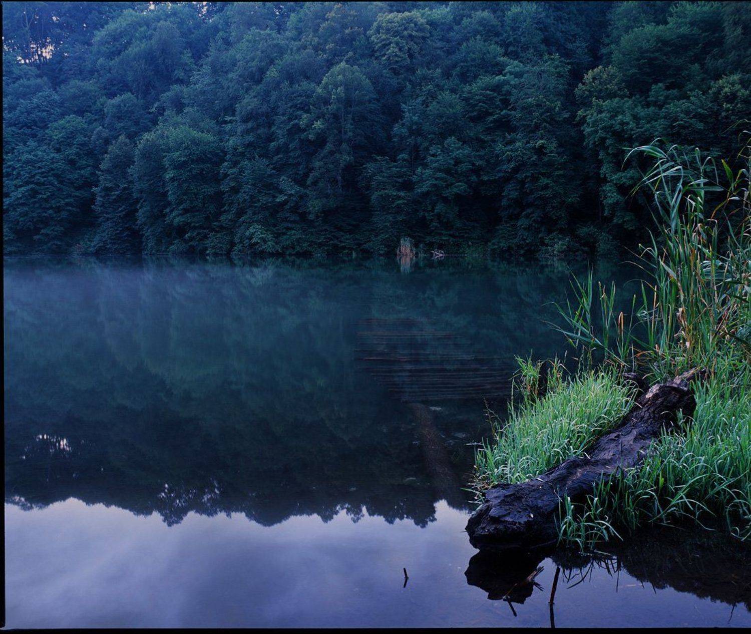 mamiya, fuji, Роман Путинцев