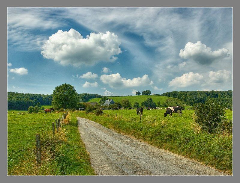 Воспоминания о летеphoto preview