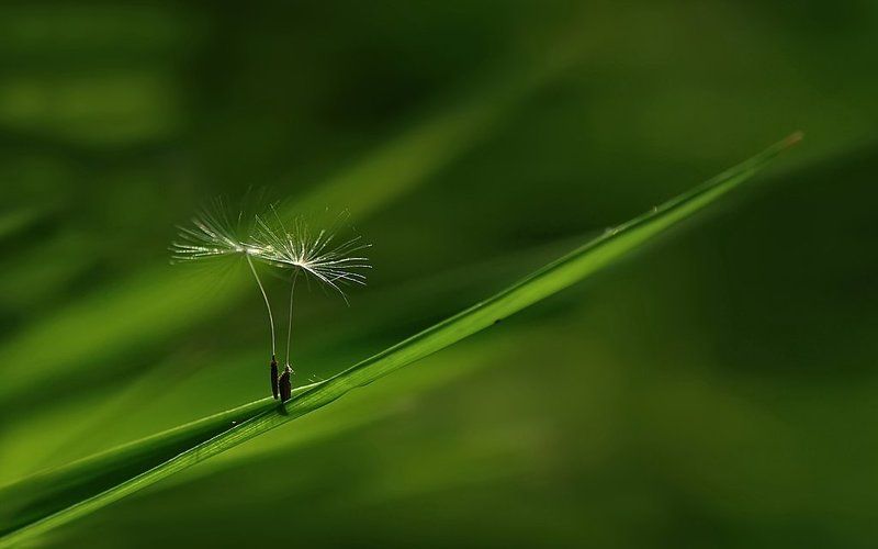 ...и в легком танце нас с тобой закружит,бродяга ветер,унося от суеты...photo preview