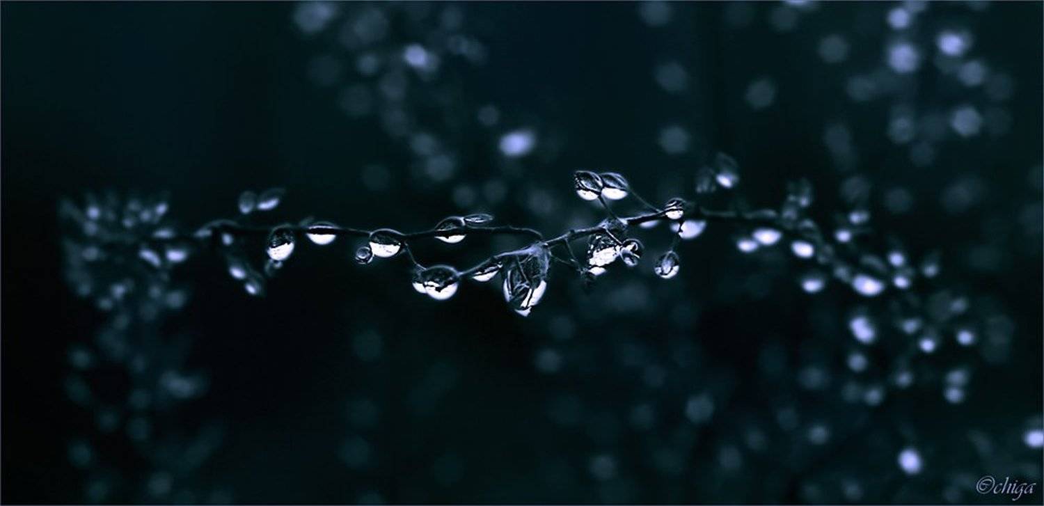 вода, капли, Chiga