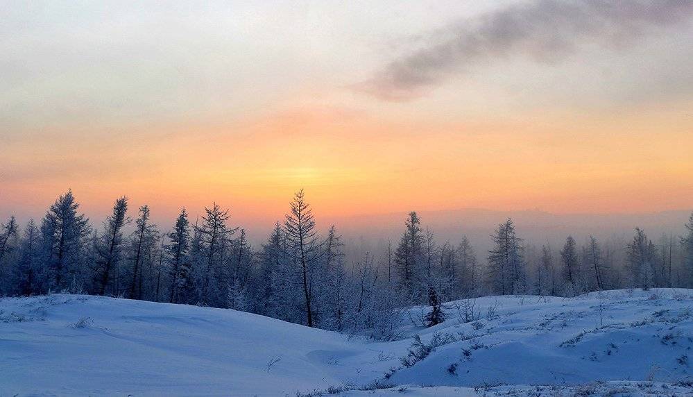 таймыр, Vladimir