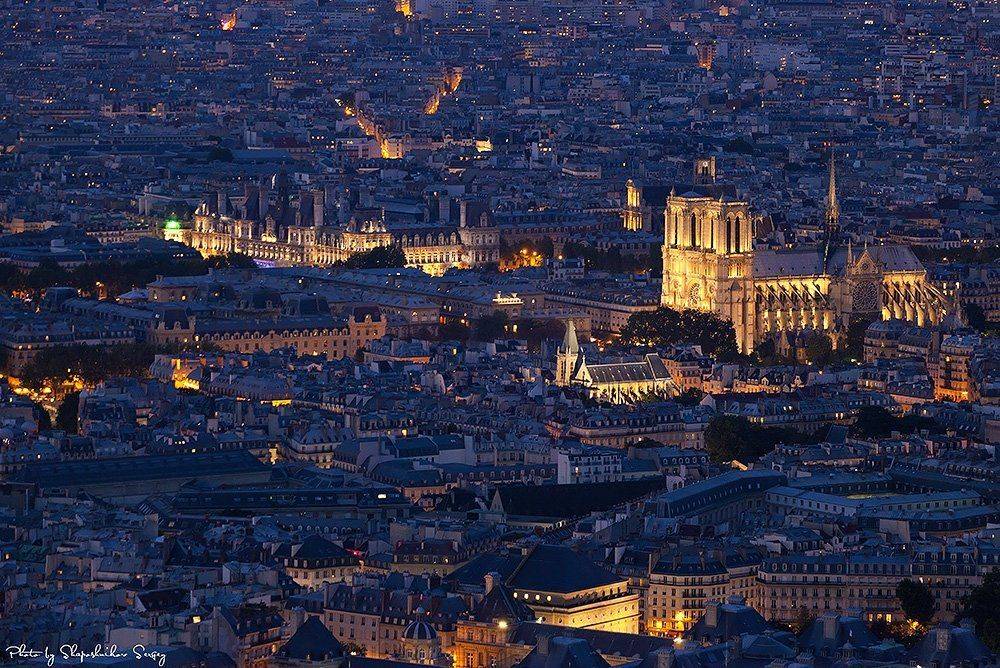 ночной вид на Нотр-Дам де Пари. Автор: Sergey Shaposhnikov , Sergey Shaposhnikov