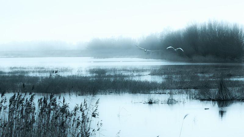 Ciepliczankaphoto preview