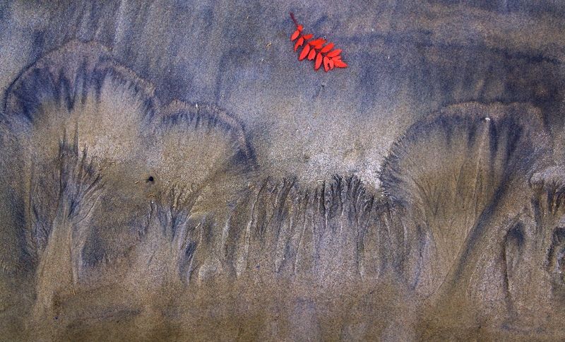 песок, абстракция, фактура шумел осенний лесphoto preview