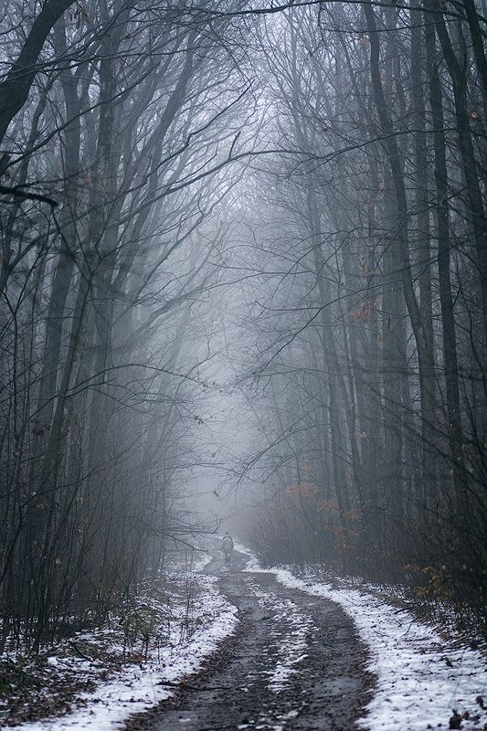 Оттепельphoto preview