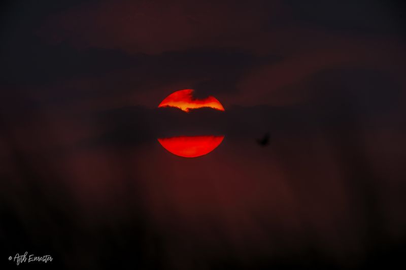 sunset Sunsetphoto preview