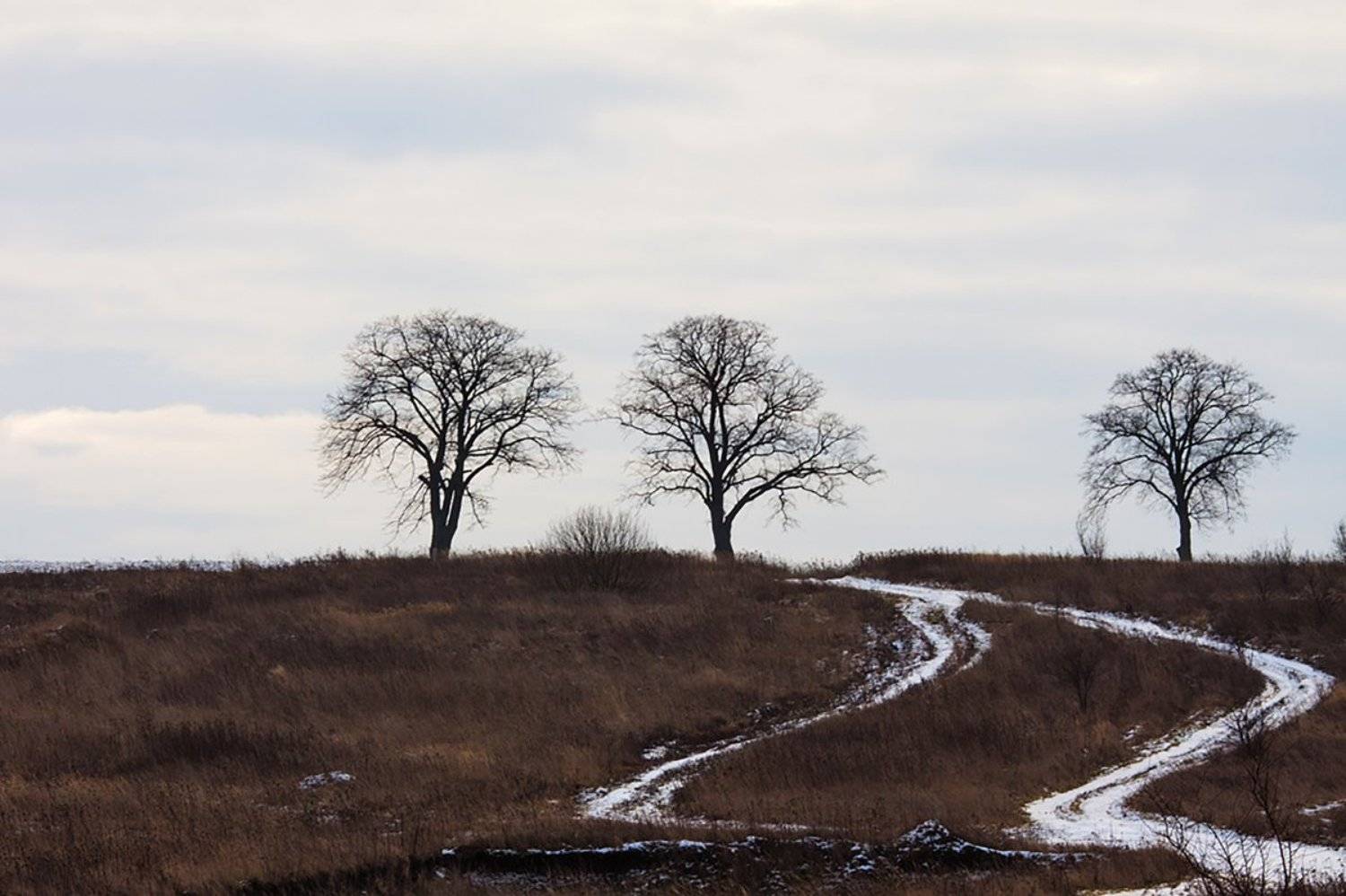 , Геннадий Новов