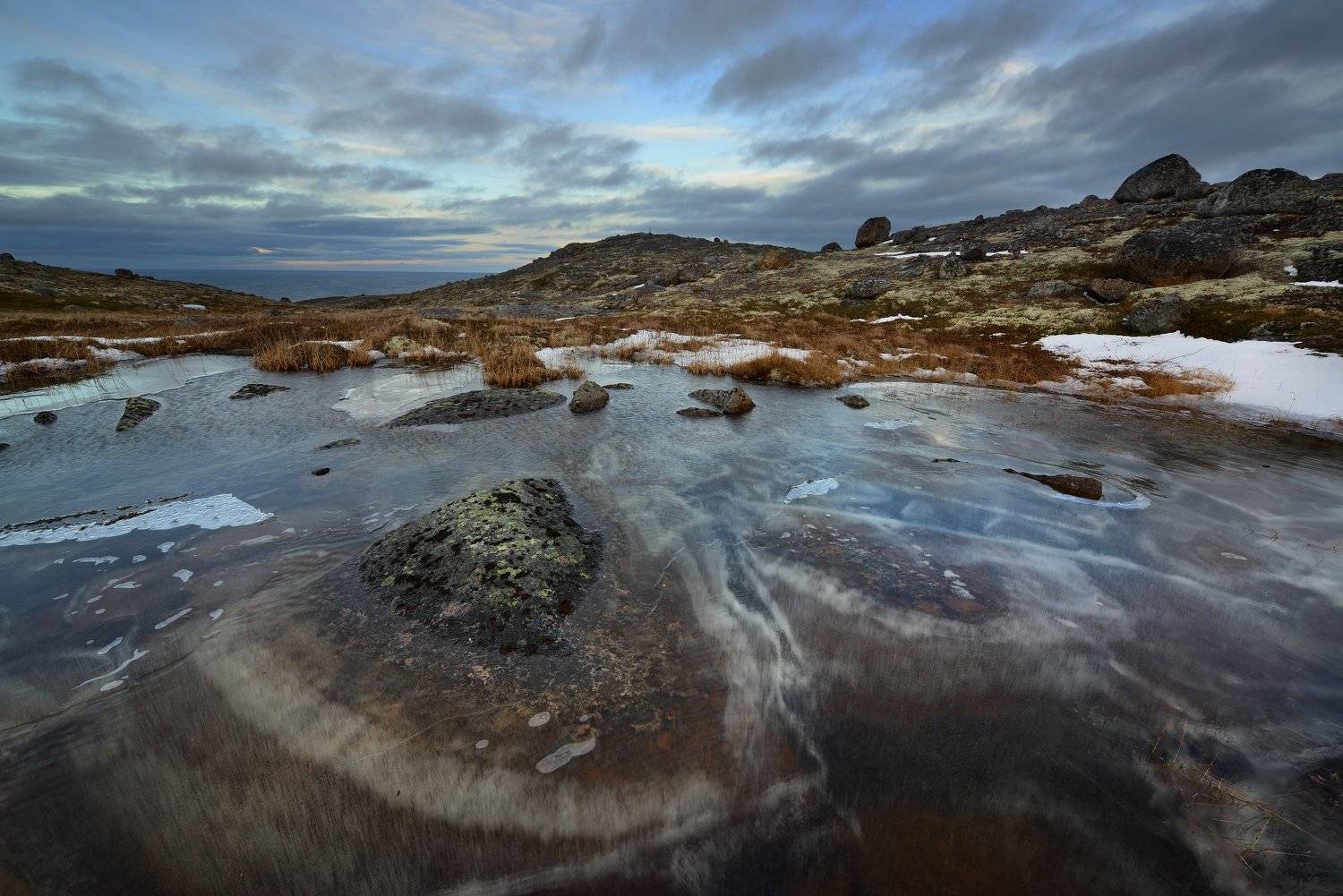 , Максим Евдокимов (www.wildphotorus.ru)