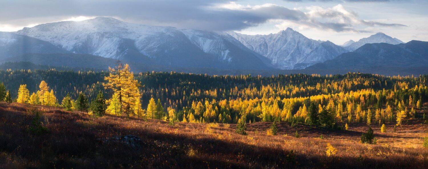 алтай, горы, осень, Владимир Ляпин