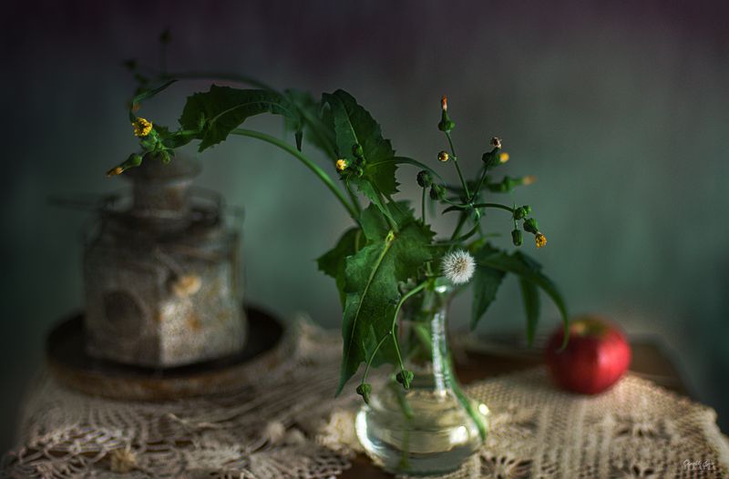 Infocusphoto preview