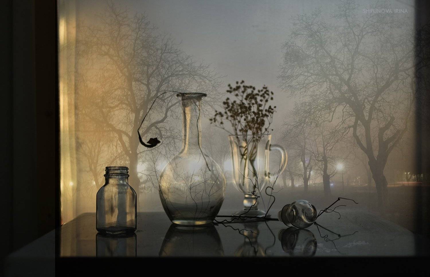 , Шипунова Ирина