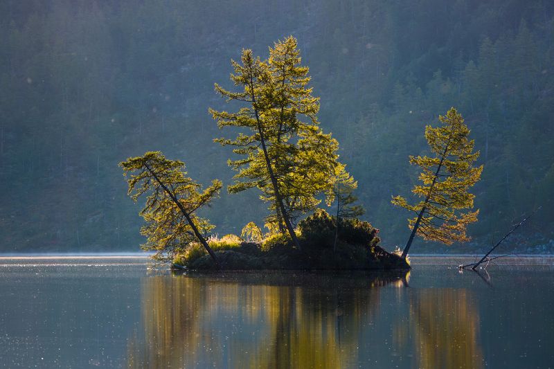 остров, озеро, утро, рассвет, отражение, деревья, колыма, дальний восток, антон селезнев, путешествие Островок в контровом светеphoto preview
