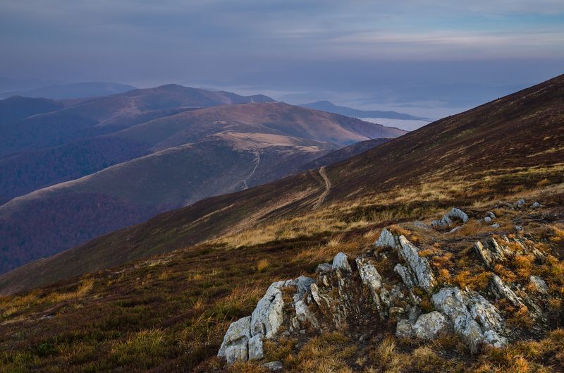 карпаты, боржавский хребет Предрассветная тишинаphoto preview