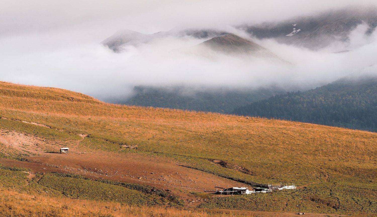 КОГДА УШЛИ ПАСТУХИ. Автор: ФЁДОР , ФЁДОР