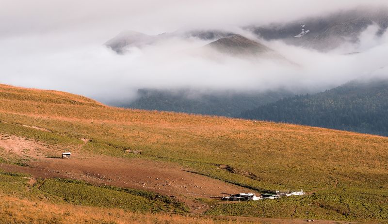 КОГДА УШЛИ ПАСТУХИ фото превью