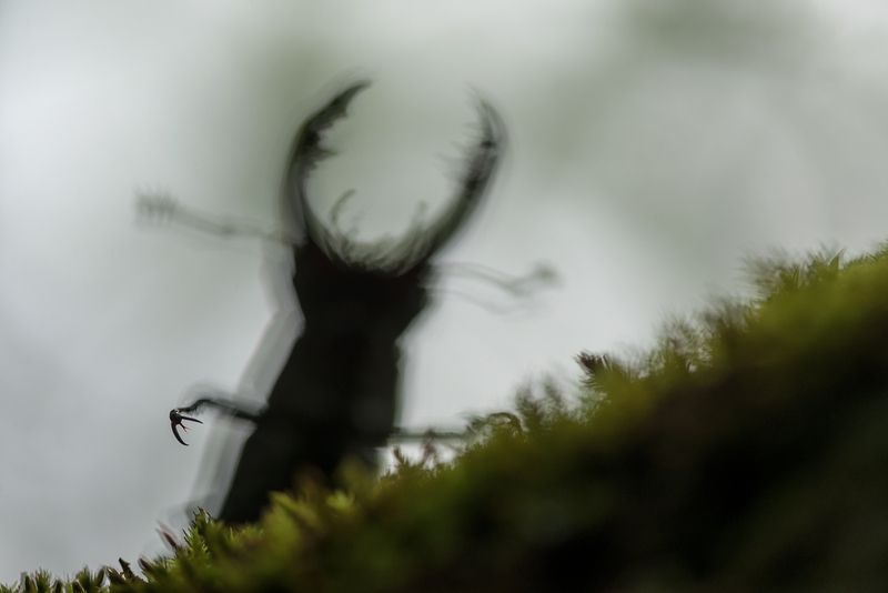 Капитан Крюкphoto preview