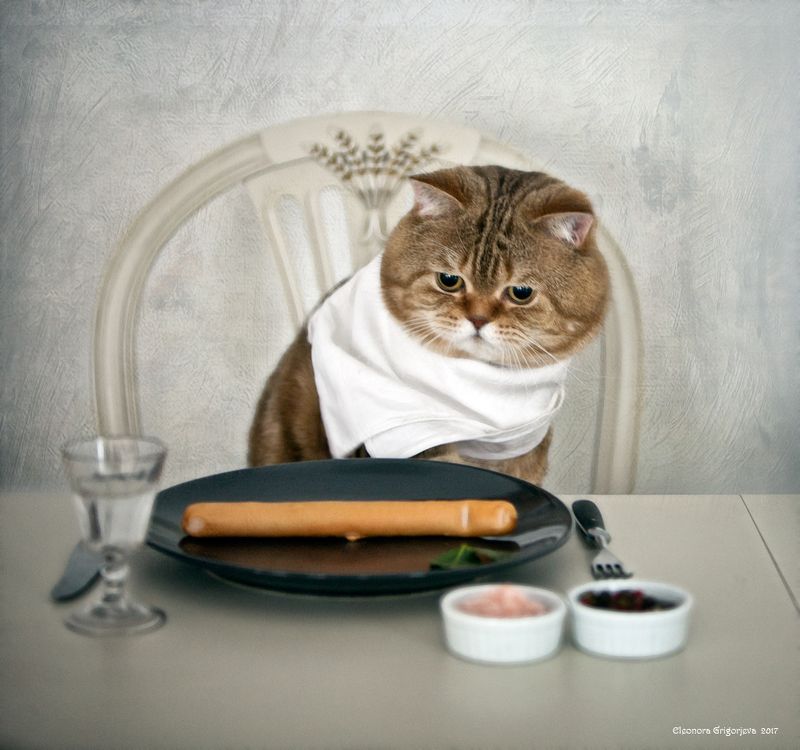 Опять сосискаphoto preview