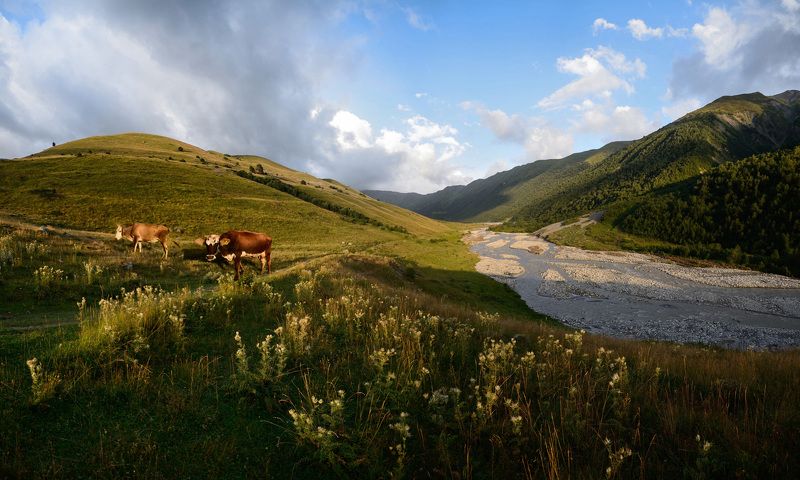 Caucasian waysphoto preview