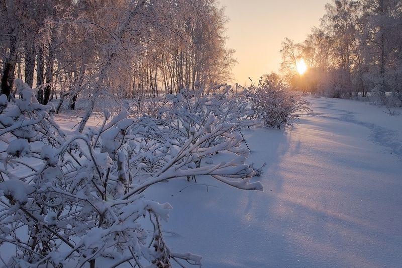 Зимним утром...photo preview