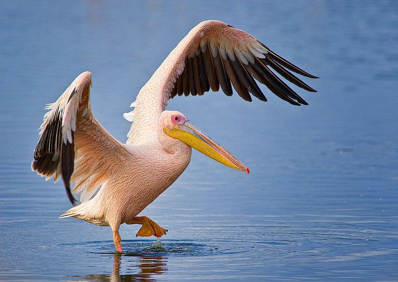 О-о-о! Тёпленькая !photo preview