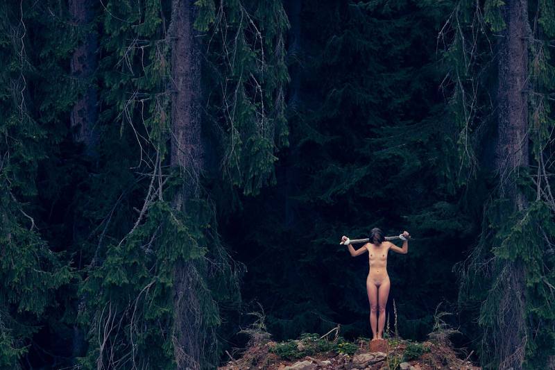 Lost Fatephoto preview