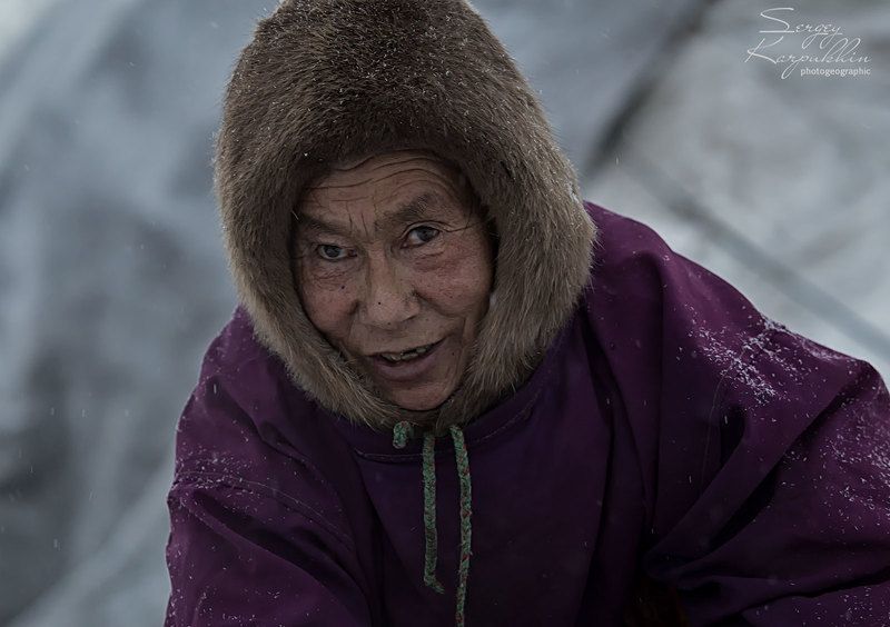 ямал, полярный урал, олени, оленеводы, ненцы Соседка по стойбищу.photo preview