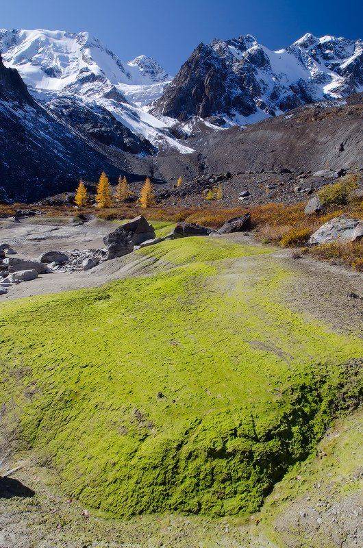 ледниковые игры II. Автор: Юсупов Александр Алтай, ледник Зелинского, Юсупов Александр