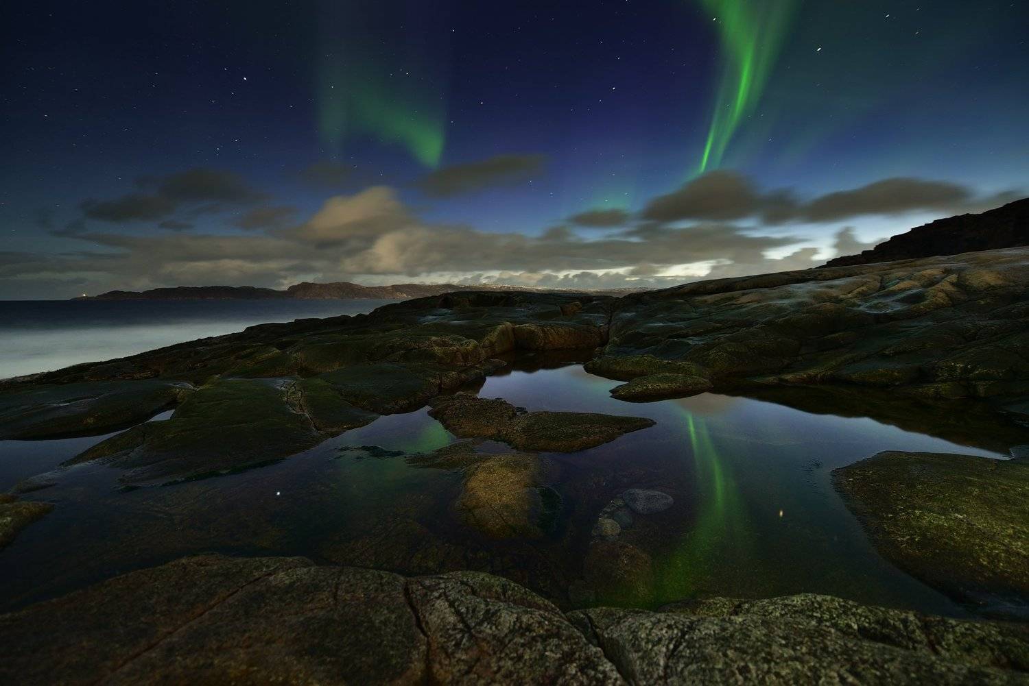 , Максим Евдокимов (www.wildphotorus.ru)