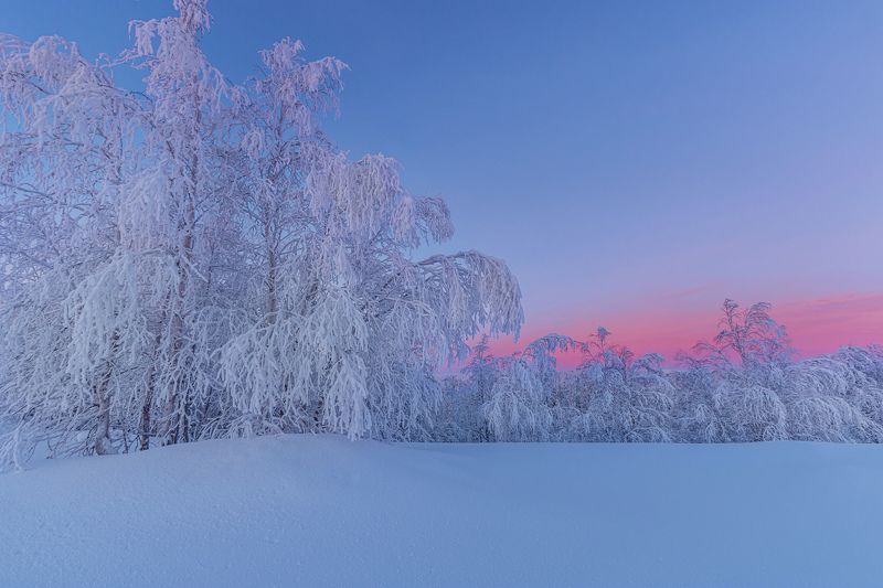ямал , зима , природа, салехард , декабрь,  ямал ,север \