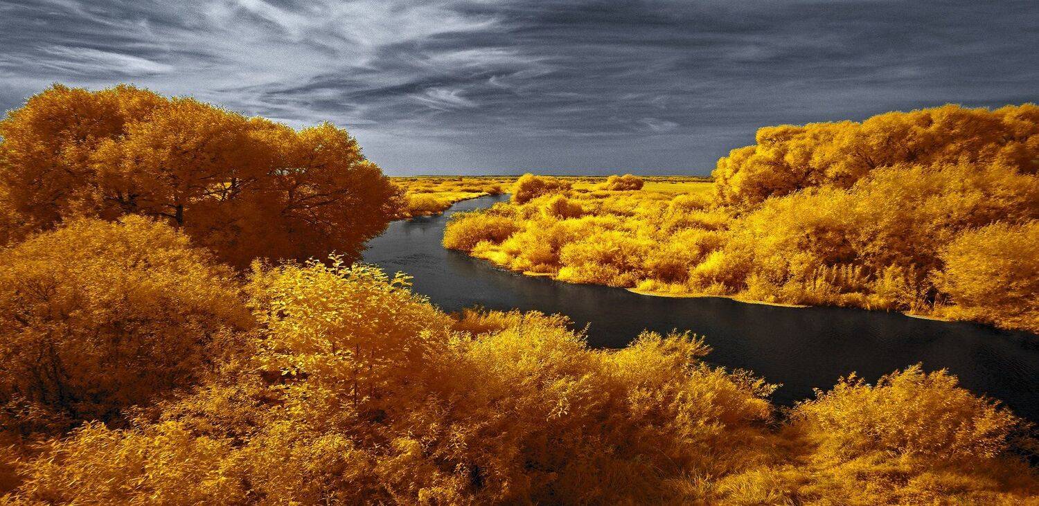 infrared,ик-фото,инфракрасное фото,инфракрасная фотография,пейзаж,природа,беларусь,лето, Sixten ( Сергей )