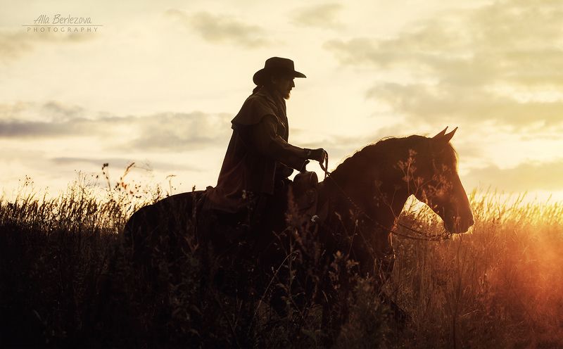 cowboy, sunset, field, sunlight, horse, draft ***photo preview