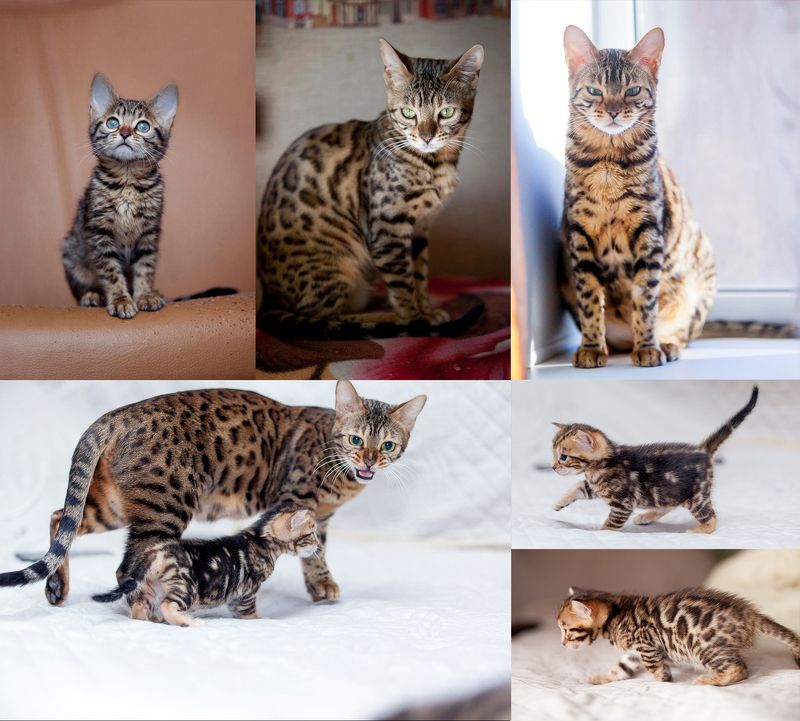 Жизненный цикл :)photo preview