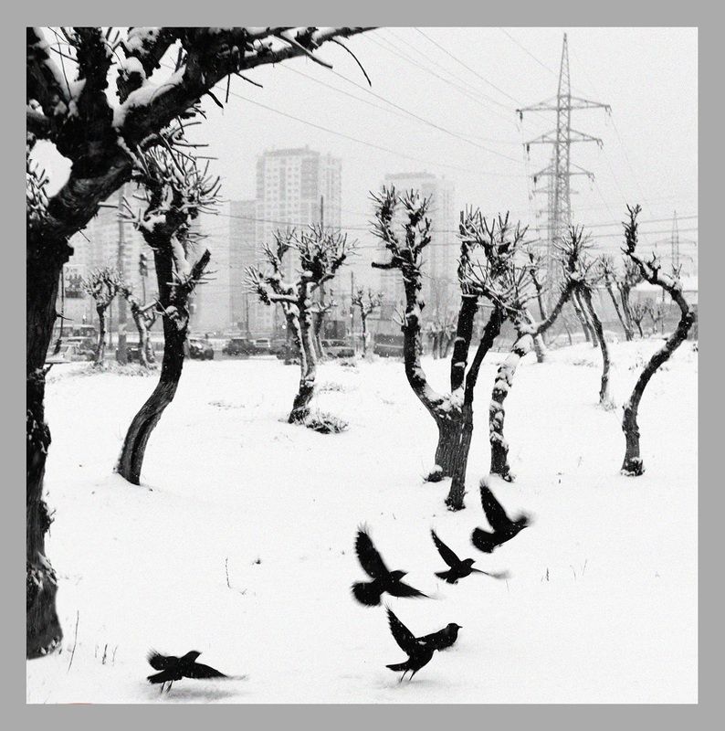 Городphoto preview