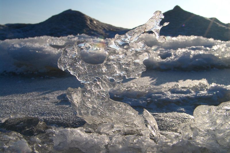 Водяной заяц...photo preview