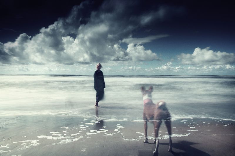 Lithuania, sea, water, beach, sand, dog, clouds *photo preview