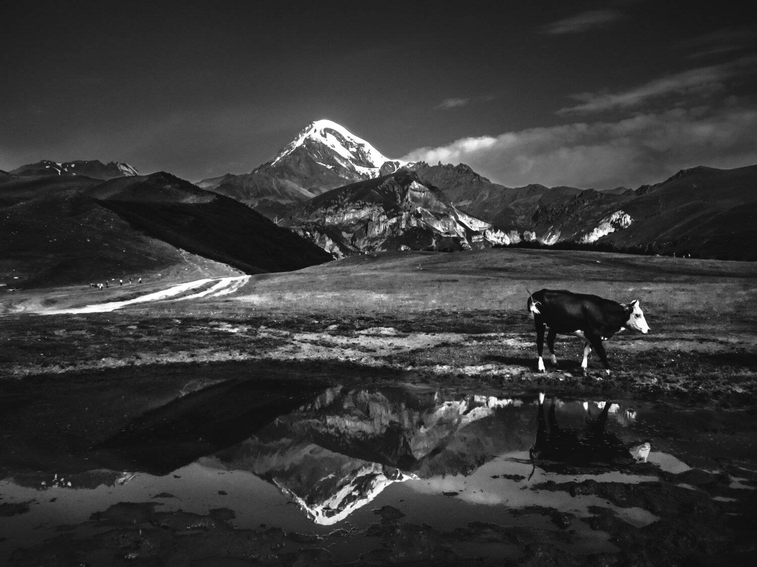 travel, mountaincs, animals, landscape, Miane Da