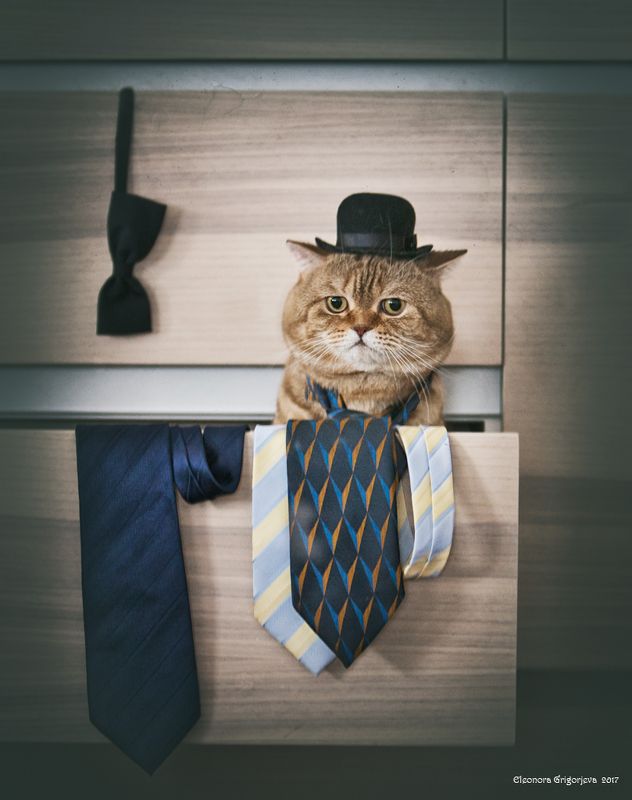 Субботний вечерphoto preview