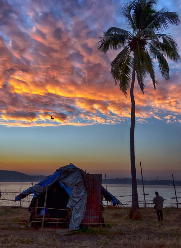 Индийское утроphoto preview