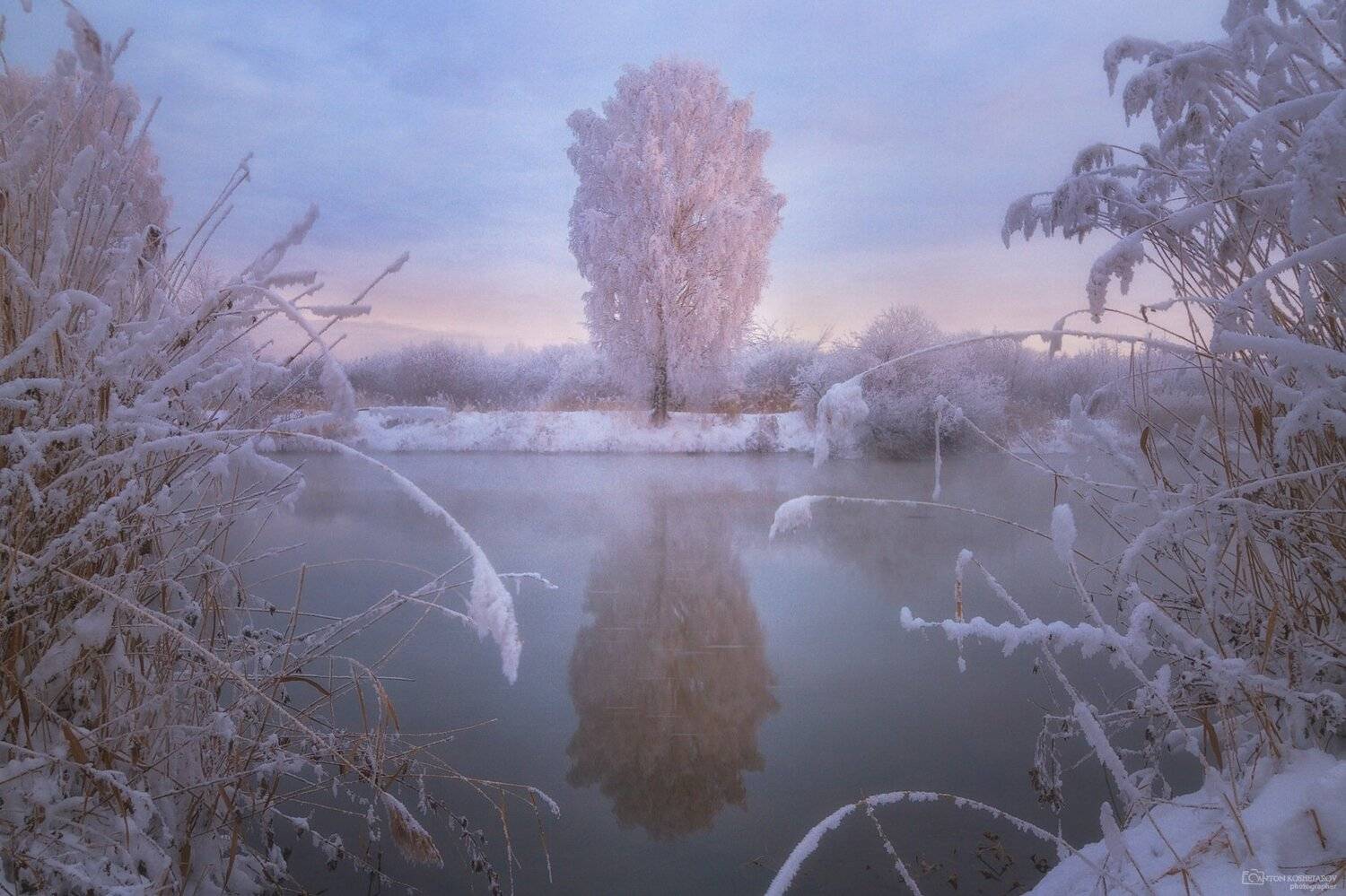 река,дерево, екатеринбург, вода,облака,зима, новый год, сказка, праздник, настроение,пейзаж, акварель,, Антон Кошетаров
