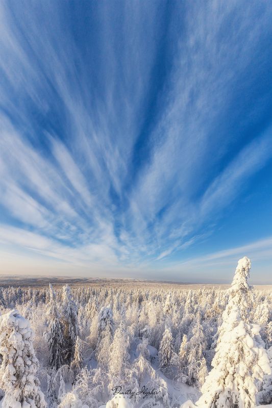 бесконечная белоснежность photo preview