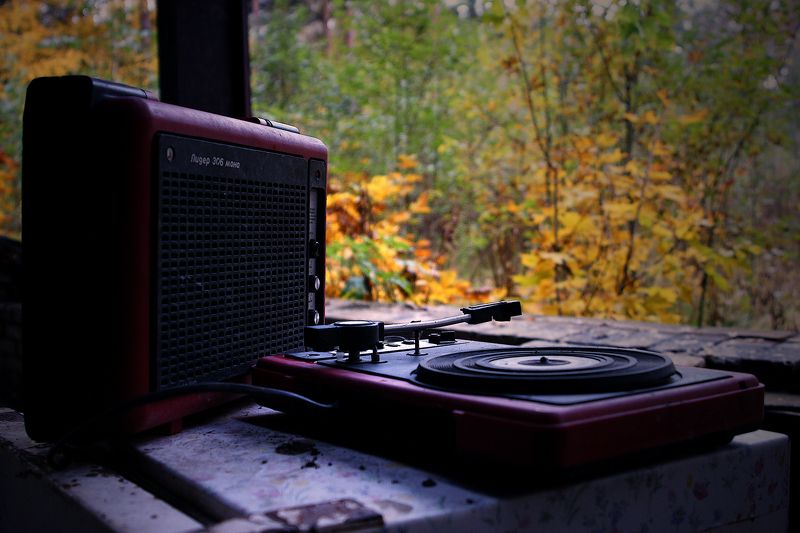 #deep.spb, #deepspb, #decay, #abandoned, #abandonedplaces, #abandonedworld, #арт, #art, #light, #shadows, #colors, #парк, #листья, #осень, #walls, #window, #nature, 171225.1photo preview