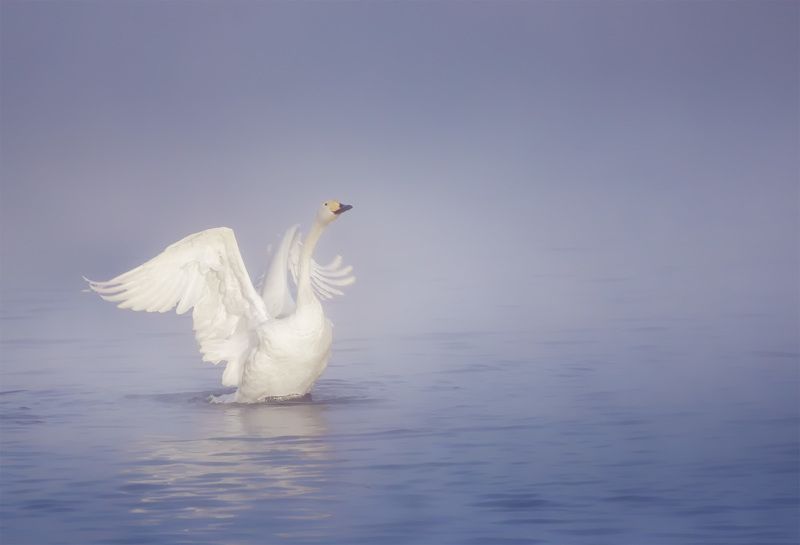 Алтай На встречу новому дню!photo preview