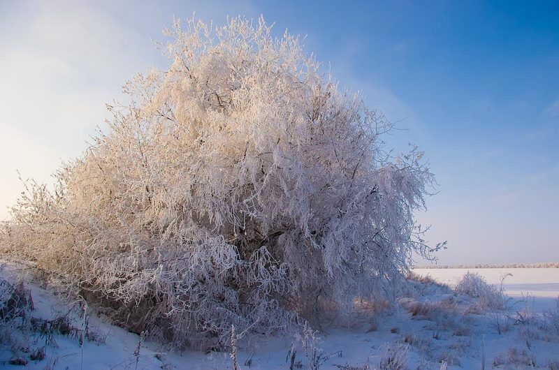 иней photo preview