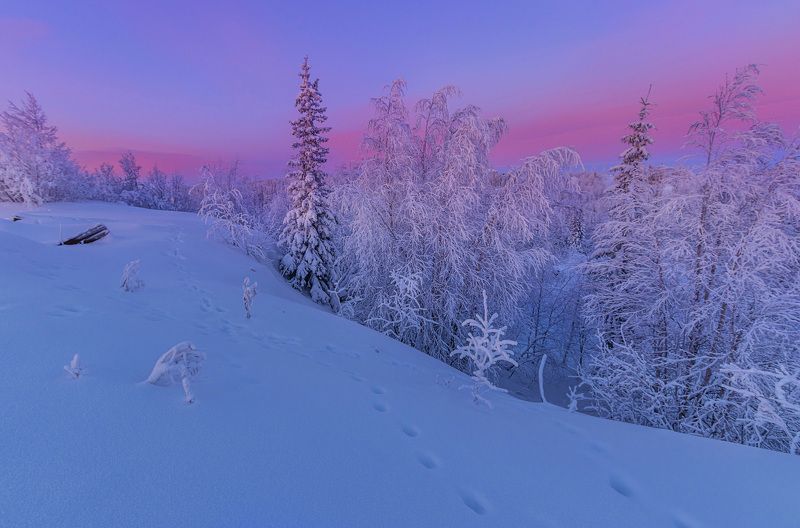 ямал , зима , природа, салехард , декабрь,  ямал ,север \