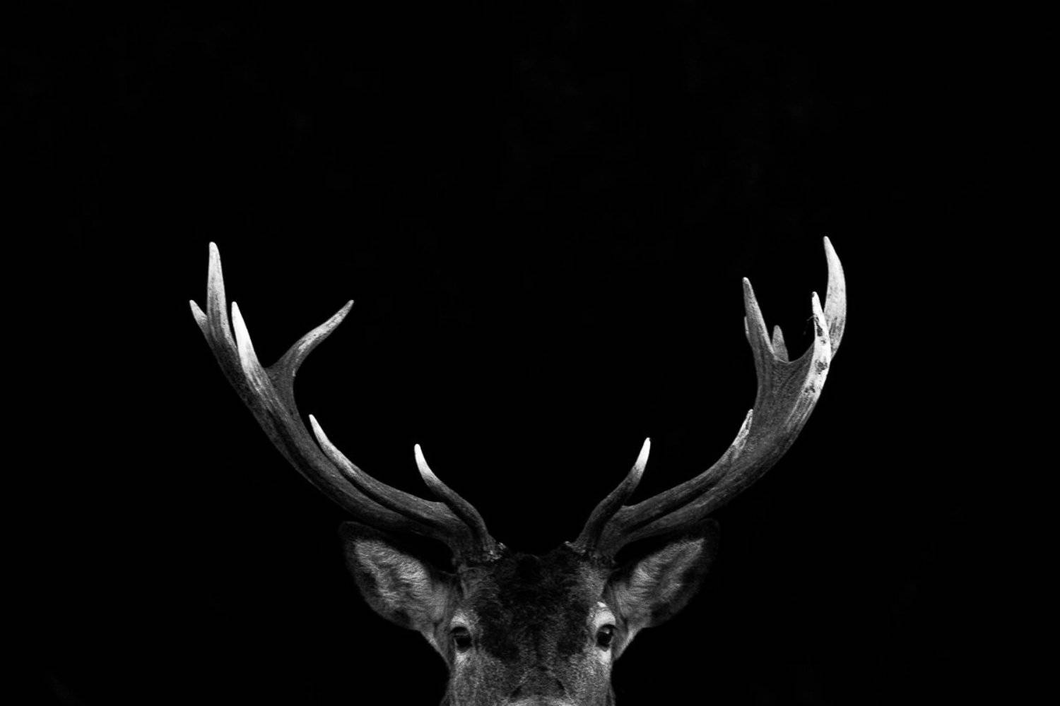 , Евгений Мельников